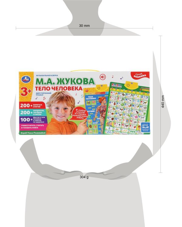 Плакат двусторонний на бат. музыкальная азбука М.Жукова, тело человека в кор. Умка в кор.48шт