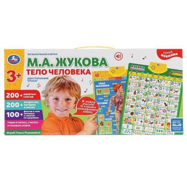 Плакат двусторонний на бат. музыкальная азбука М.Жукова, тело человека в кор. Умка в кор.48шт
