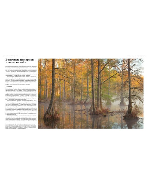 Деревья. Жизнеутверждающее путешествие по лесам, садам и паркам