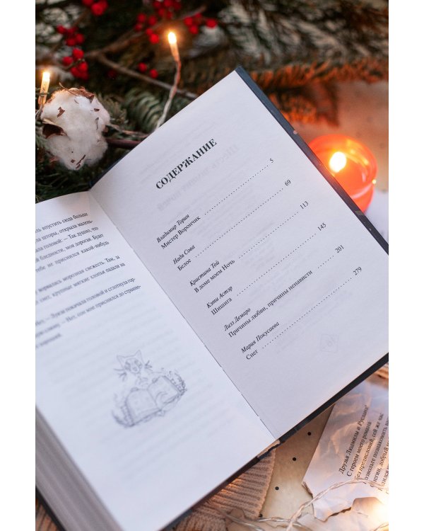 Шесть зимних ночей