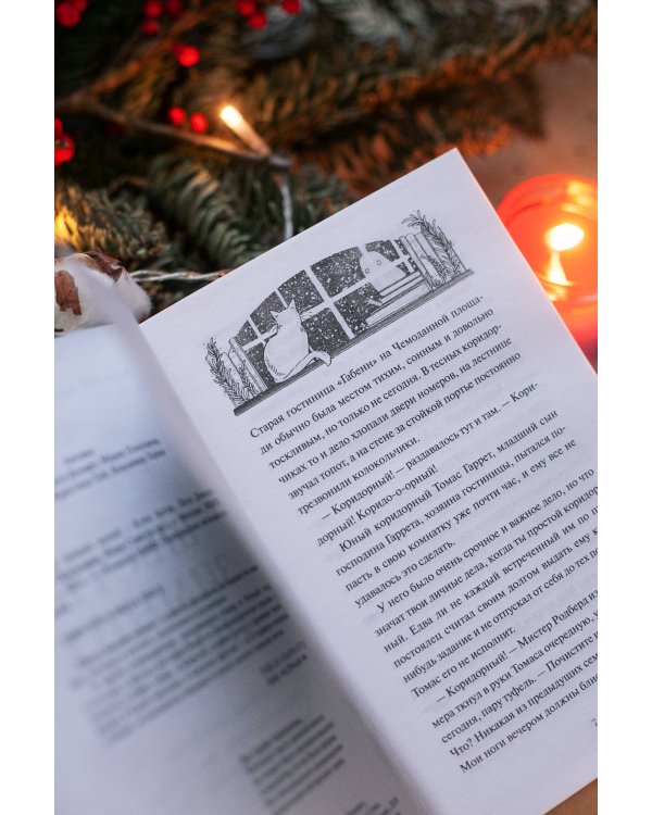 Шесть зимних ночей