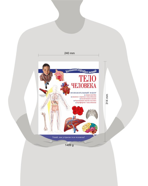Тело человека. Познавательный набор