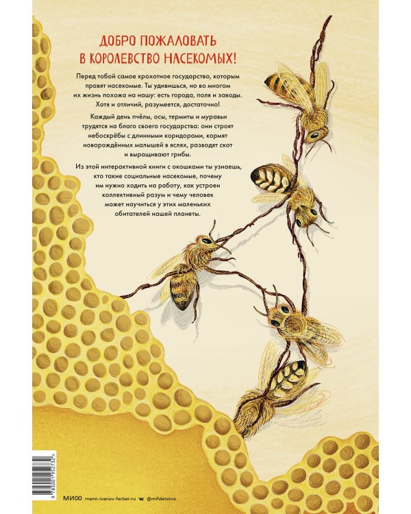 Королевство насекомых. Интерактивная книга с окошками о жизни муравьёв, ос и пчёл