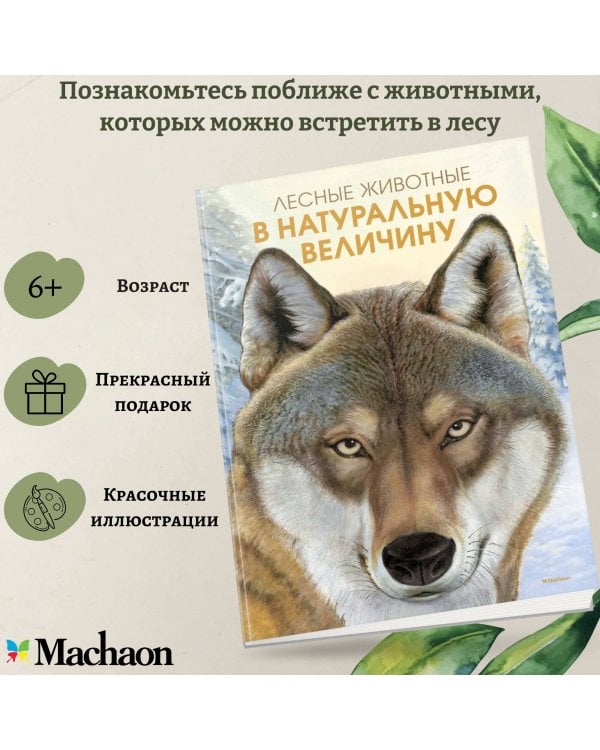 Лесные животные в натуральную величину