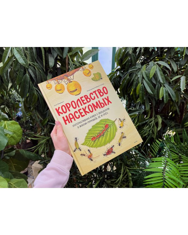 Королевство насекомых. Интерактивная книга с окошками о жизни муравьёв, ос и пчёл