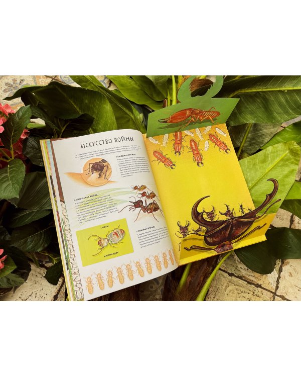 Королевство насекомых. Интерактивная книга с окошками о жизни муравьёв, ос и пчёл