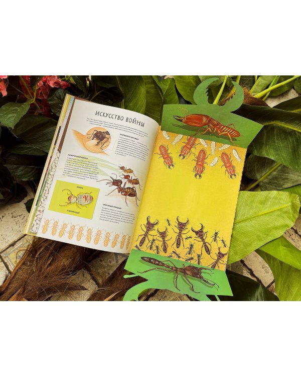 Королевство насекомых. Интерактивная книга с окошками о жизни муравьёв, ос и пчёл