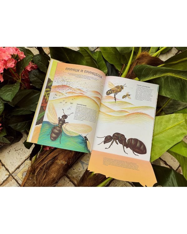 Королевство насекомых. Интерактивная книга с окошками о жизни муравьёв, ос и пчёл