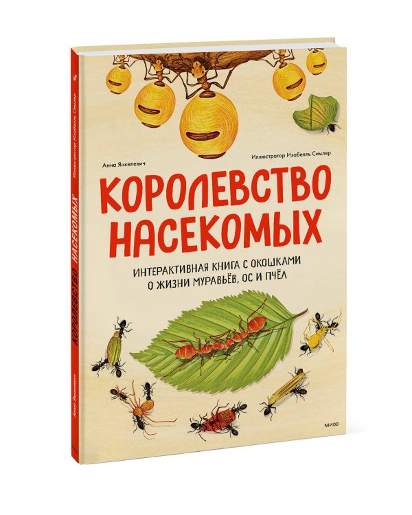 Королевство насекомых. Интерактивная книга с окошками о жизни муравьёв, ос и пчёл