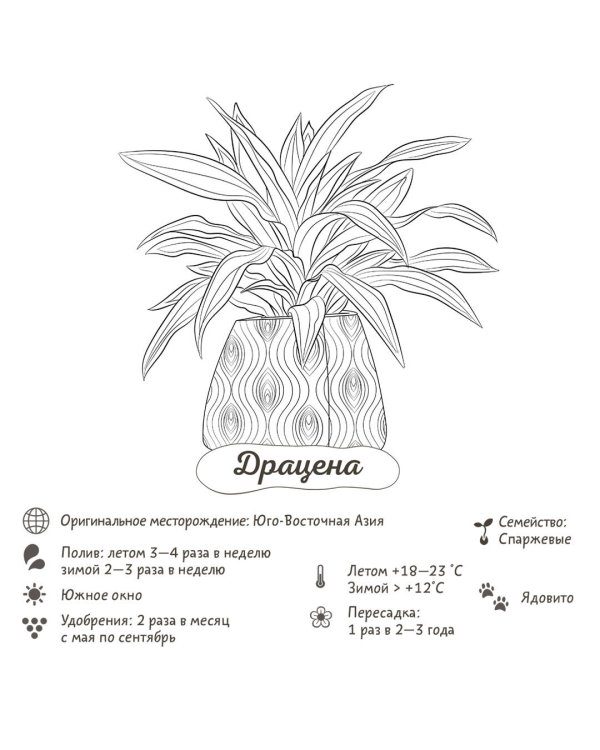 Раскраска-трекер. Растущие в темноте