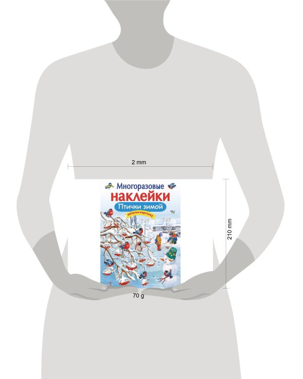 МНОГОРАЗОВЫЕ НАКЛЕЙКИ. Птички зимой
