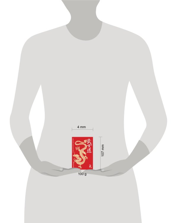 Тетрадь для записи иероглифов. Мал. формат(Жёлтый  дракон)