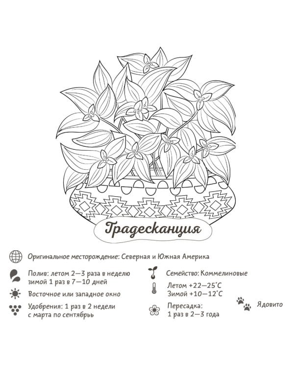 Раскраска-трекер. Растущие в темноте