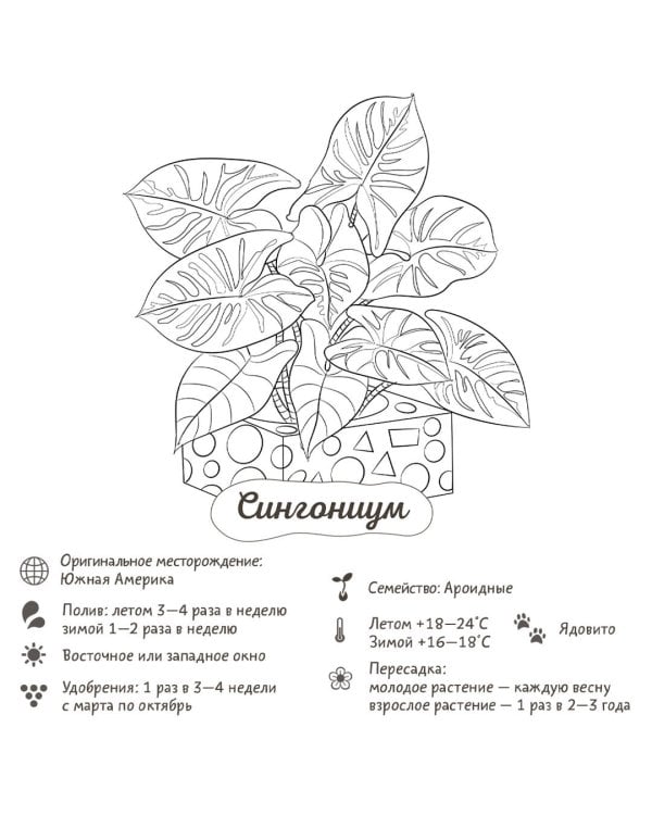 Раскраска-трекер. Растущие в темноте