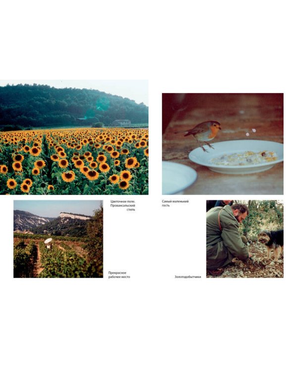 Мои двадцать пять лет в Провансе