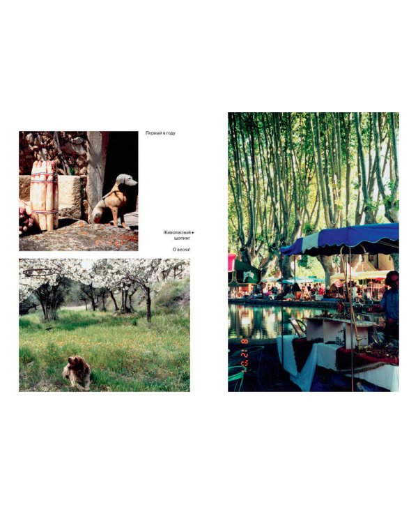 Мои двадцать пять лет в Провансе