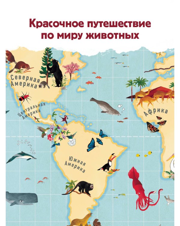 Атлас животных мира в картинках