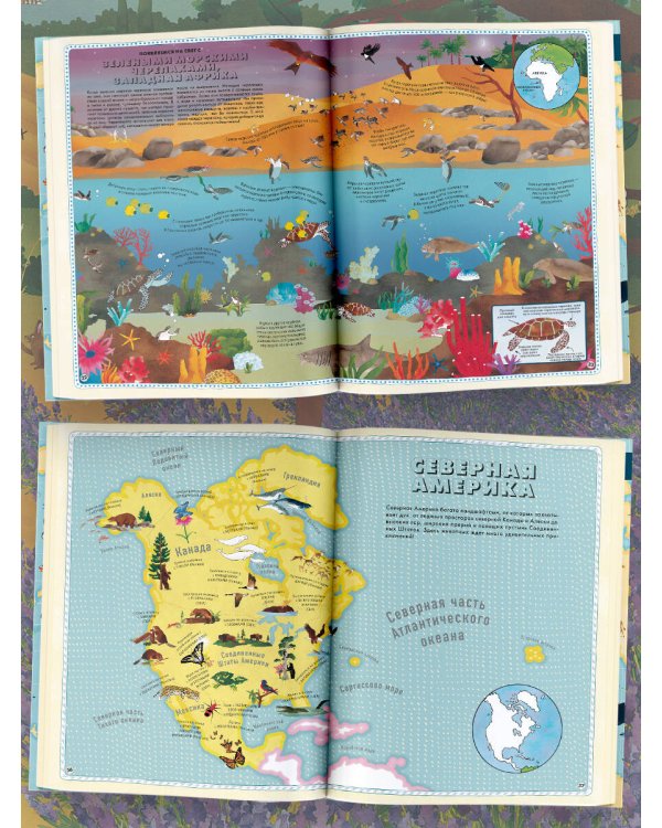 Атлас животных мира в картинках