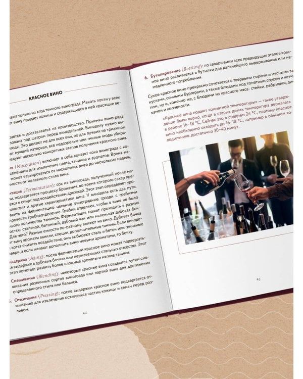 Сам себе сомелье. Как научиться разбираться в вине с нуля. Новое издание.