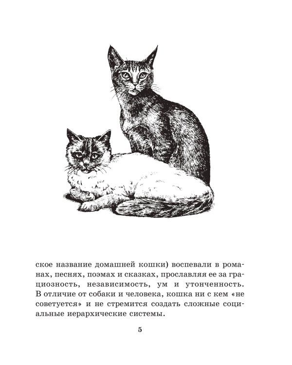 Кошка. Полное руководство по воспитанию и уходу