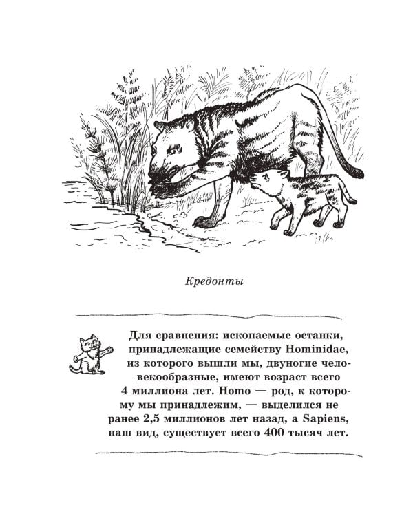 Кошка. Полное руководство по воспитанию и уходу