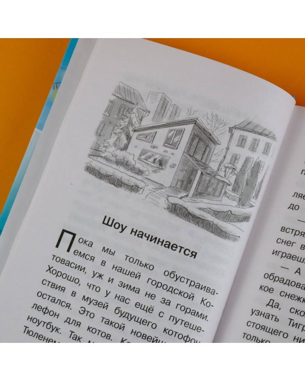 Котовасия. Круговорот мечтаний