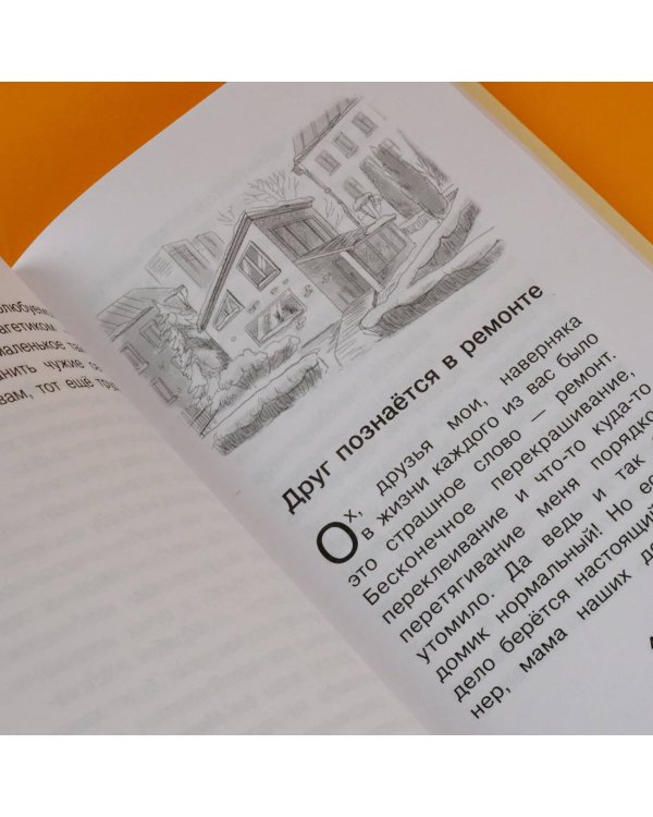 Котовасия. Круговорот мечтаний