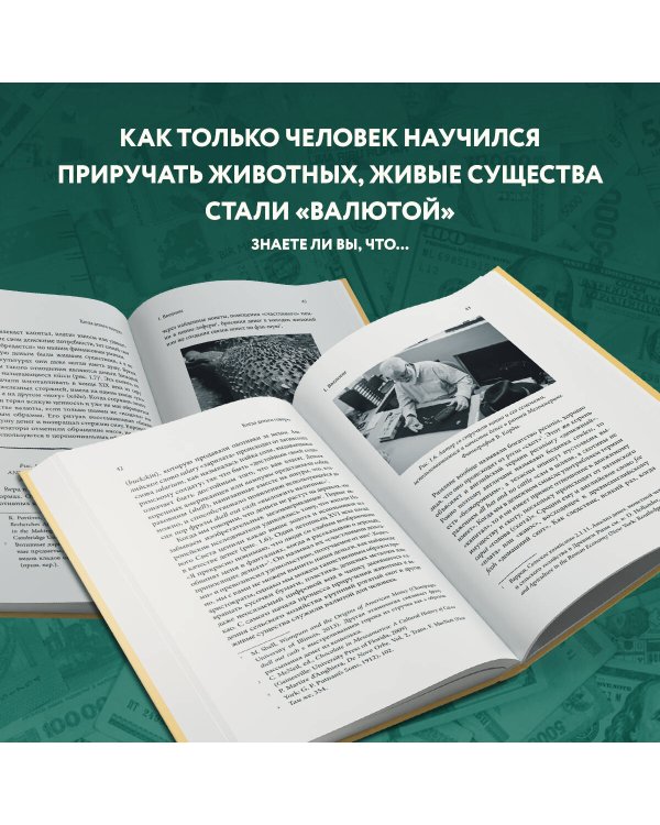 Когда деньги говорят. История монет и нумизматики от древности до поп-культуры