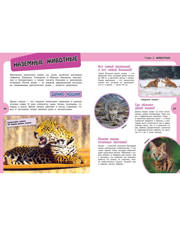 Большая энциклопедия для любознательных девчонок