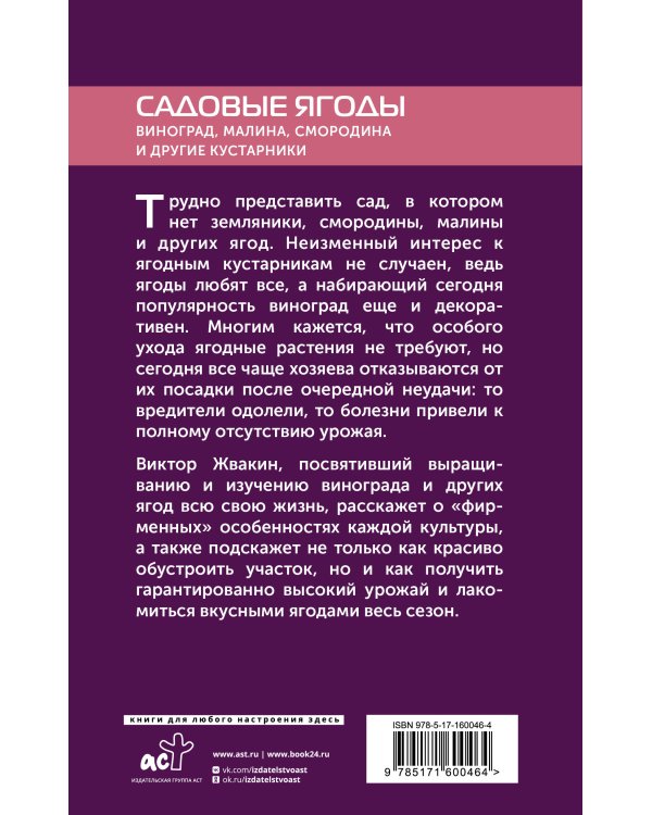 Садовые ягоды. Виноград, малина, смородина и другие кустарники