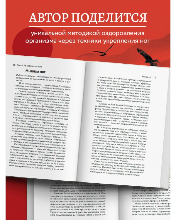 Цигун: Здоровые ноги - здоровое сердце