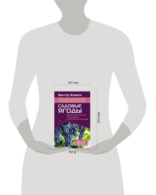 Садовые ягоды. Виноград, малина, смородина и другие кустарники