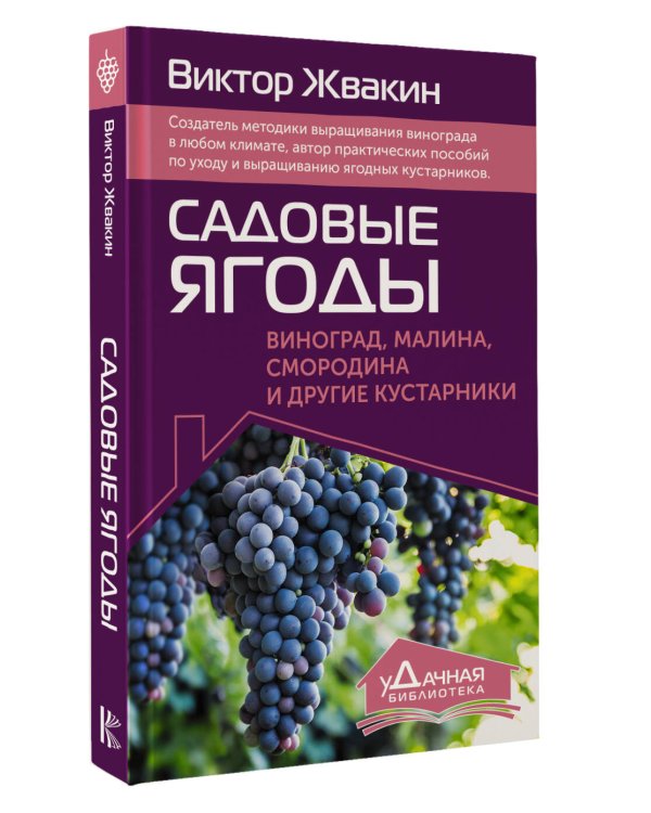Садовые ягоды. Виноград, малина, смородина и другие кустарники