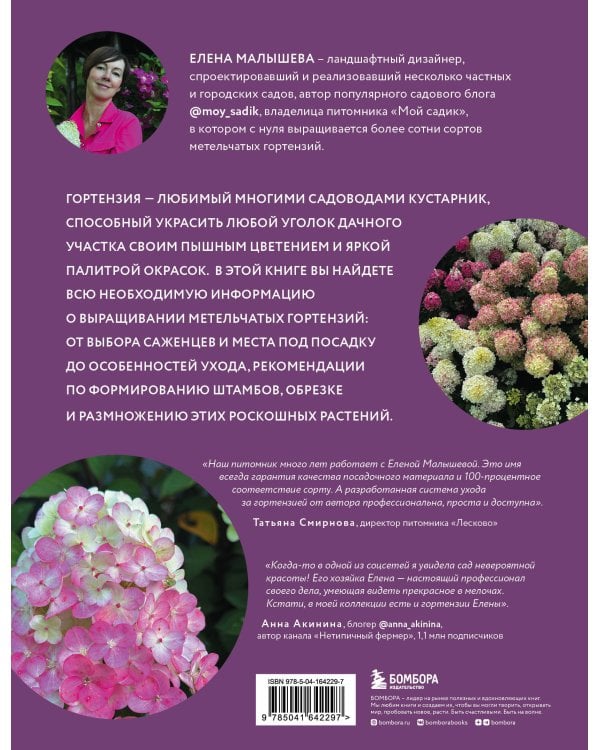 Гортензии в саду. Практический курс