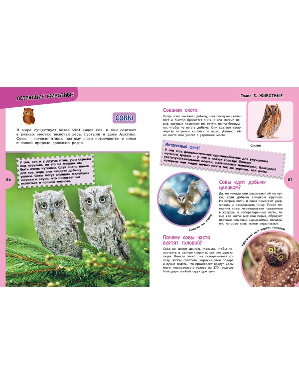 Большая энциклопедия для любознательных девчонок