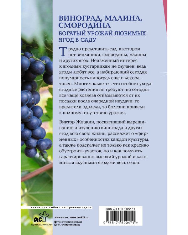 Виноград, малина, смородина. Богатый урожай любимых ягод в саду