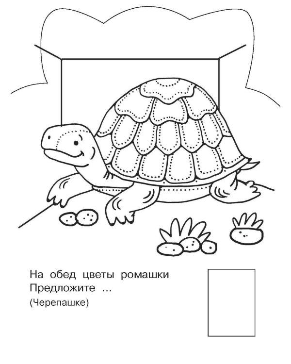 Домашние животные