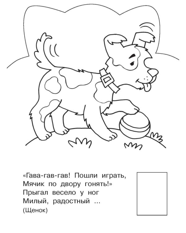 Домашние животные