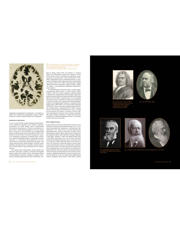 Большой атлас мозга