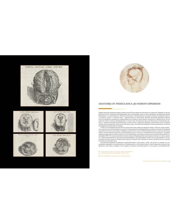 Большой атлас мозга