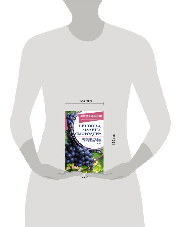 Виноград, малина, смородина. Богатый урожай любимых ягод в саду