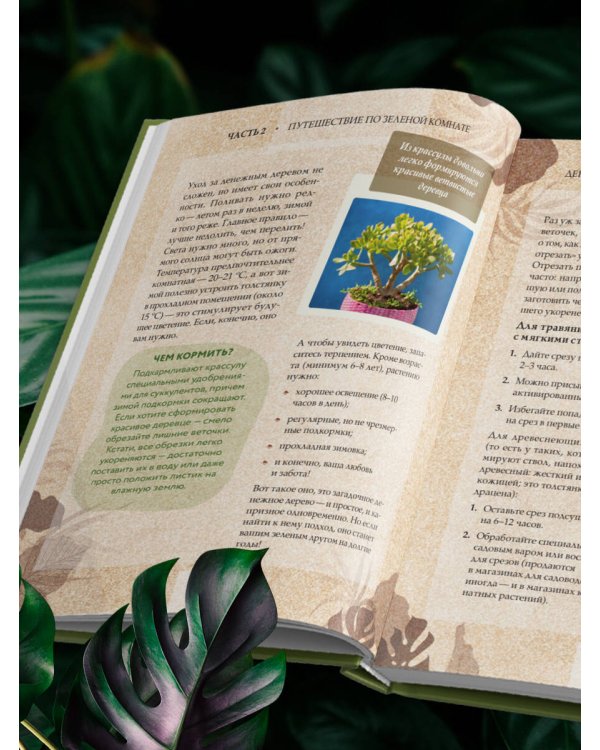 Зеленая комната. Как стать повелителем домашних джунглей