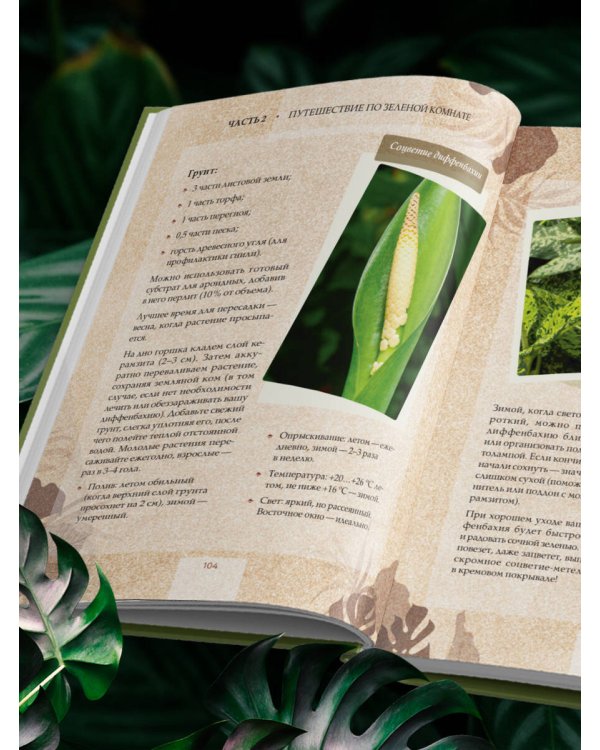 Зеленая комната. Как стать повелителем домашних джунглей