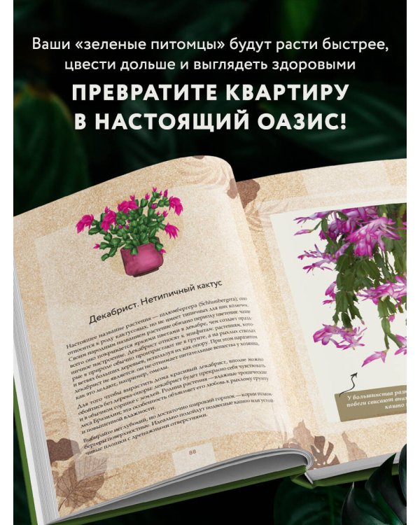 Зеленая комната. Как стать повелителем домашних джунглей