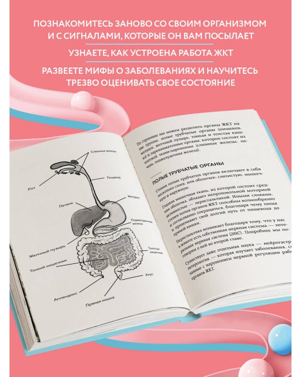 Как понять свой ЖКТ. Безобидные сигналы вашего организма и симптомы, на которые стоит обратить внимание