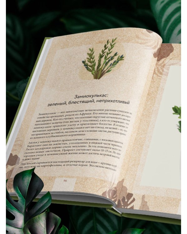 Зеленая комната. Как стать повелителем домашних джунглей