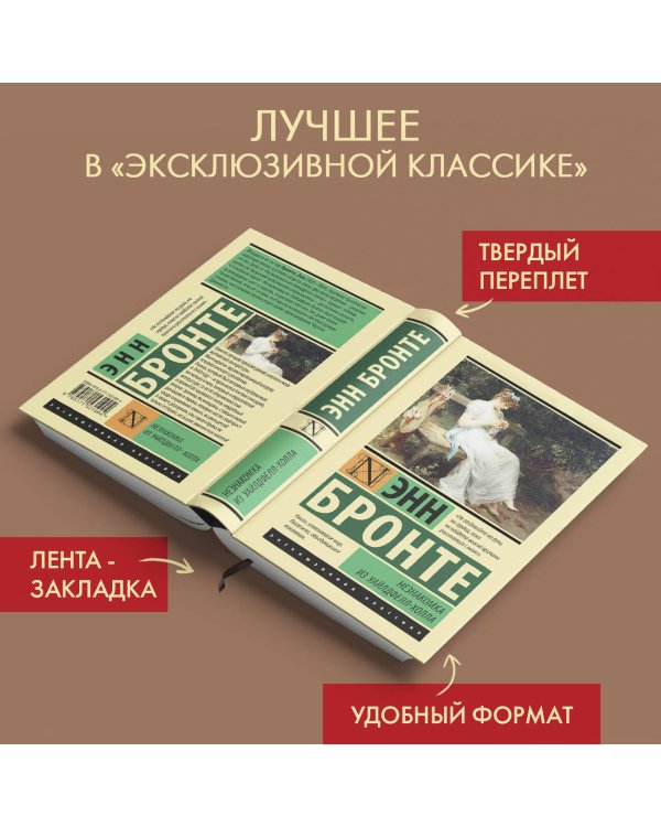 Незнакомка из Уайлдфелл-Холла