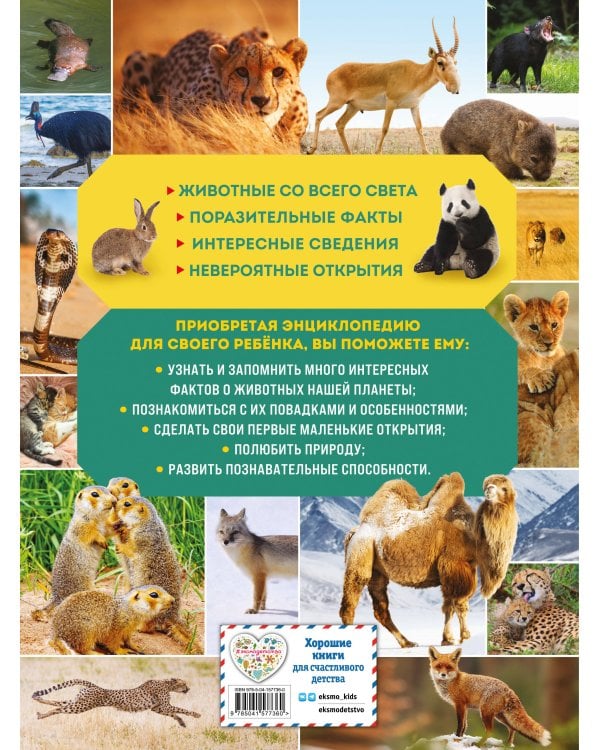 Удивительный мир животных. Энциклопедия для детей