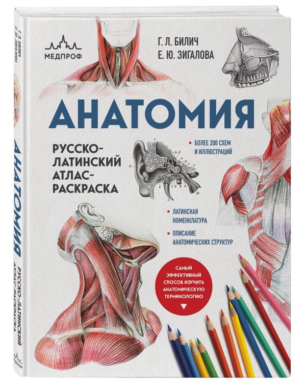 Анатомия: русско-латинский атлас-раскраска (новое оформление, новый формат)