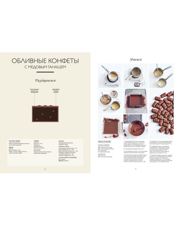 Большая книга шоколатье: Конфеты, выпечка, десерты, антреме. Учимся готовить шедевры